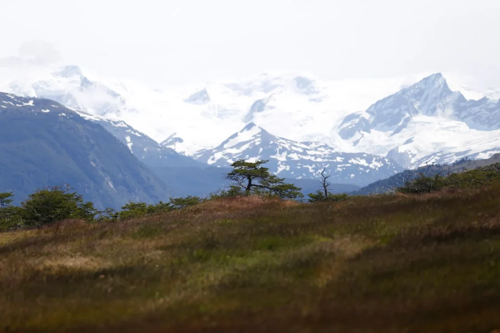 Tierra Del Fuego